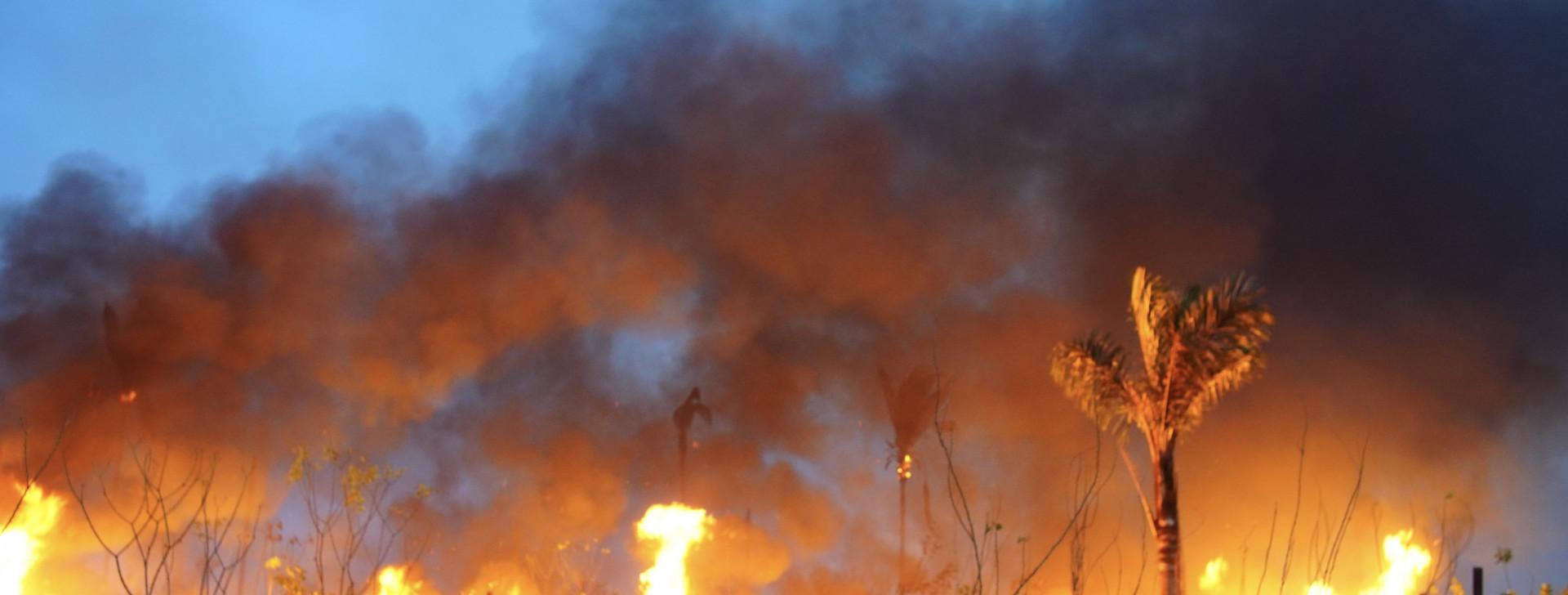 Amazônia tem redução de 75,4% nas áreas queimadas no primeiro semestre do ano