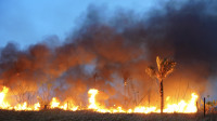 Amazônia tem redução de 75,4% nas áreas queimadas no primeiro semestre do ano