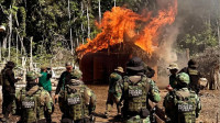 PF intensifica combate a desmatamento e incêndios no Acre e Sul do Amazonas