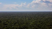 Amazônia ganha plano de investimentos por organizações sociais