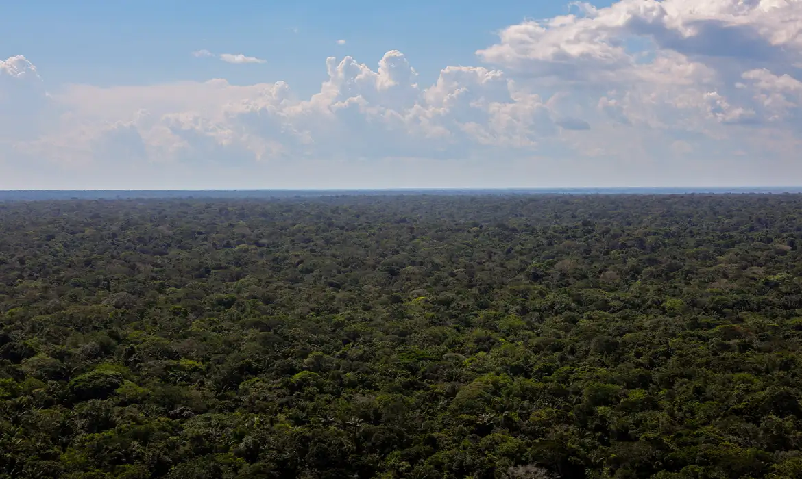 Amazônia ganha plano de investimentos por organizações sociais