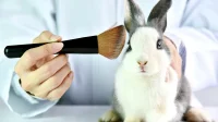 Lei que proíbe uso de animais em testes cosméticos é sancionada