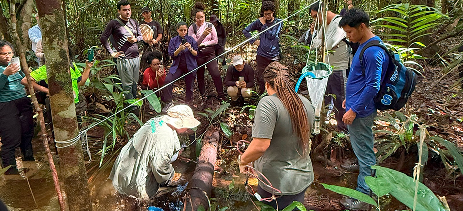 Pesquisadores investigam invertebrados aquáticos em cidade do AM