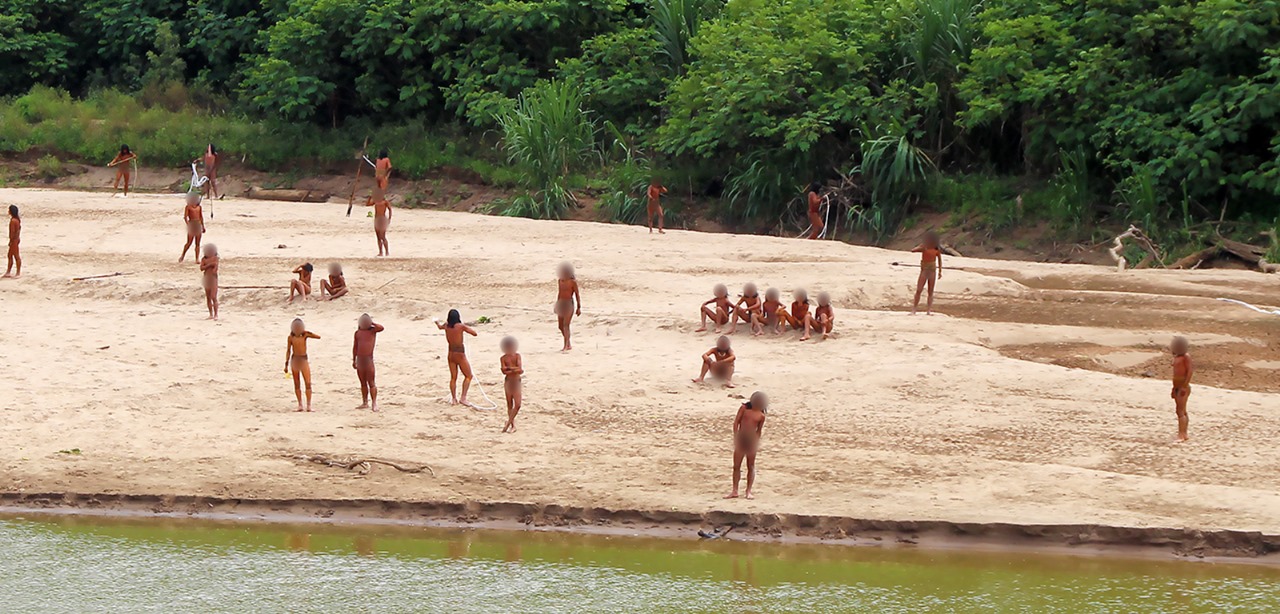 Madeireiros avançam sobre indígenas isolados na fronteira do Peru com Brasil; entenda o caso