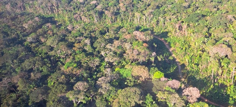 Ibama amplia fiscalização contra desmatamento e ramais ilegais na BR-319