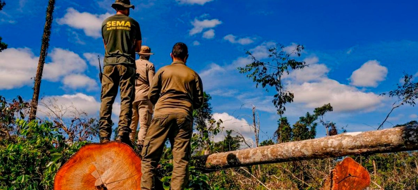 ‘PL da devastação’ fragiliza regras ambientais, diz relatório técnico