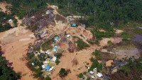 Brazilian Senate committee postpones vote on economic exploitation in Indigenous Territories