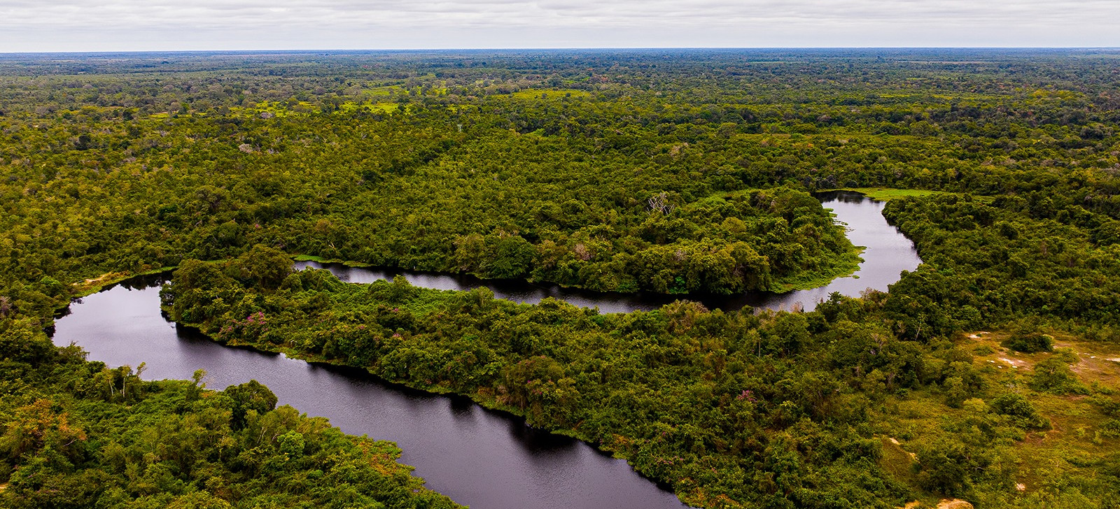 MPF quer suspender leis que impedem novas áreas de conservação em Mato Grosso
