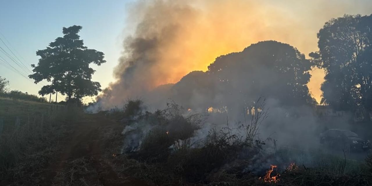 PF prende suspeitos por crime ambiental em rodovia de Rondônia