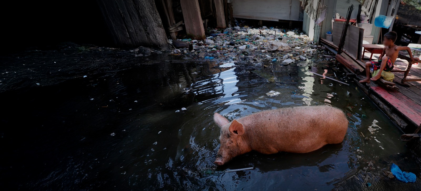 Famílias dividem espaço com lixo e esgoto na maior metrópole da Amazônia