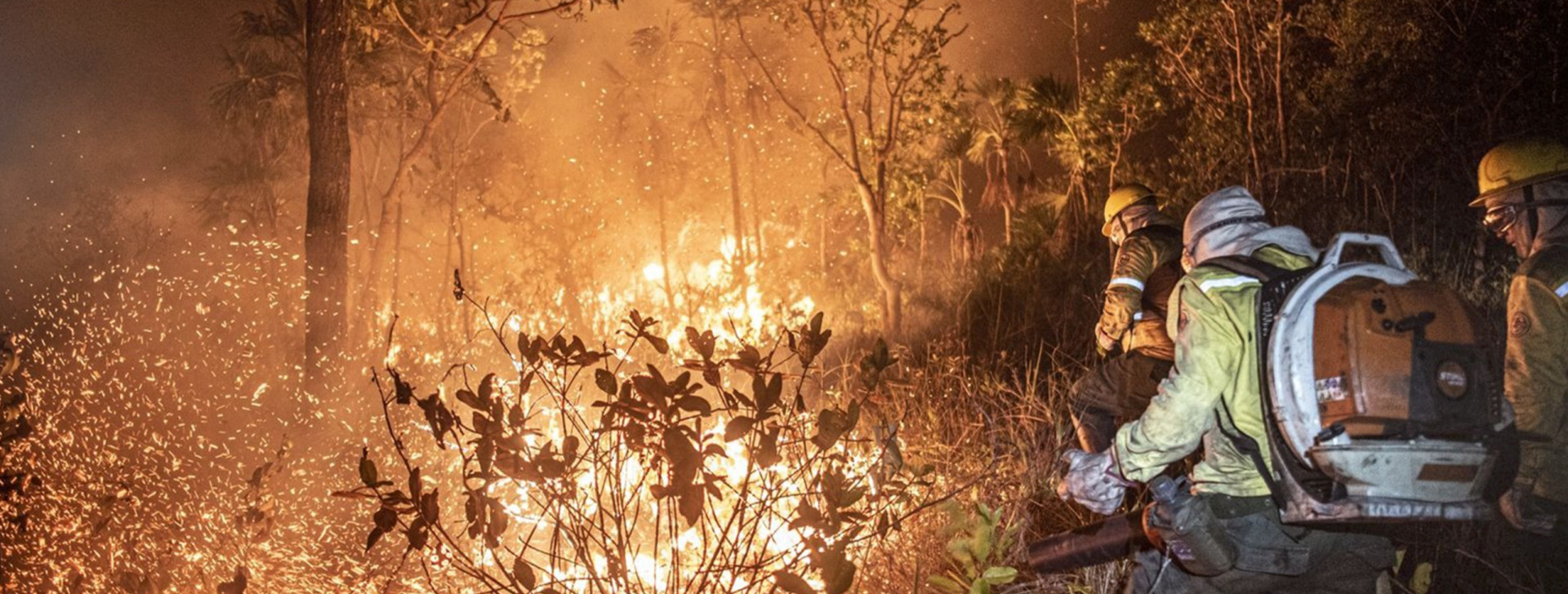 Sete Estados da Amazônia e Pantanal deixam de publicar decretos de emergência do fogo