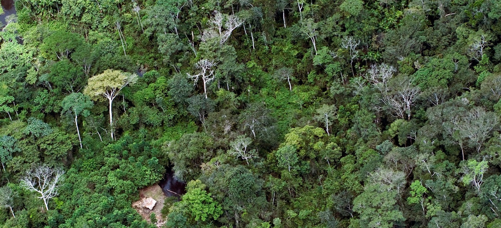 MPF afirma que Funai estimula rivalidade territorial entre povos