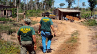 Pará concentra 60% das ações por grilagem na Amazônia Legal, aponta Imazon