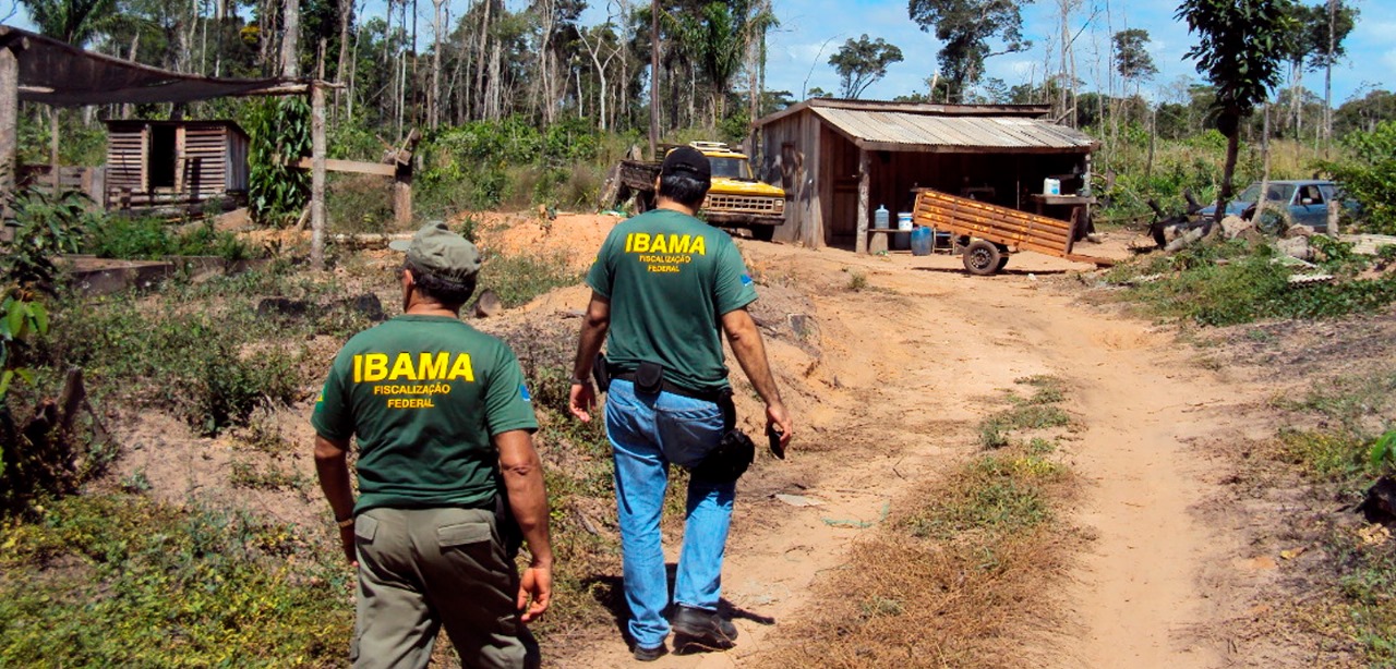 Pará concentra 60% das ações por grilagem na Amazônia Legal, aponta Imazon