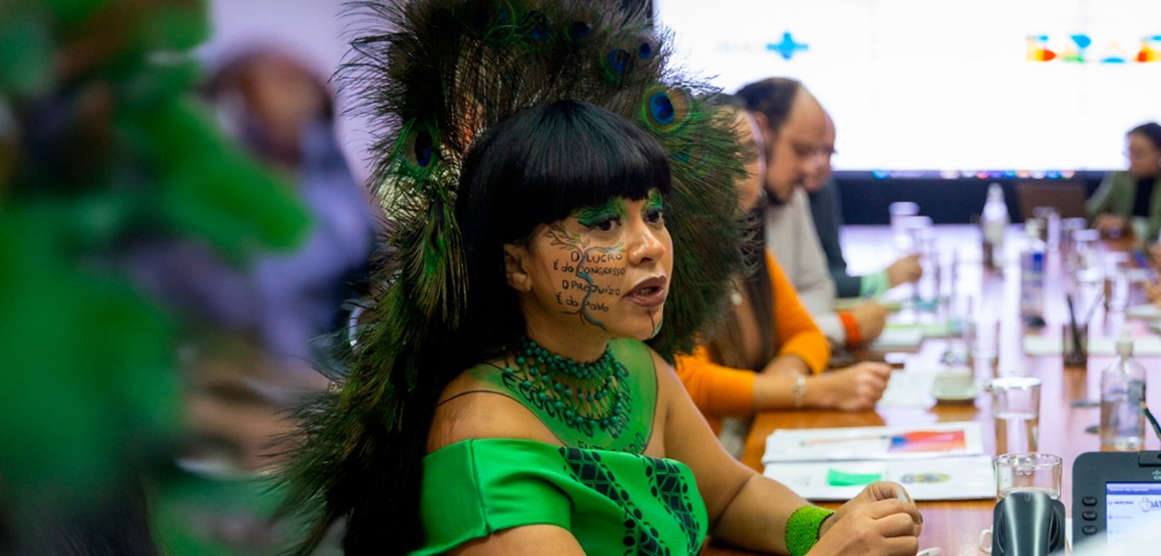 Comitiva cobra Ministério da Saúde por risco de agrotóxicos a indígenas