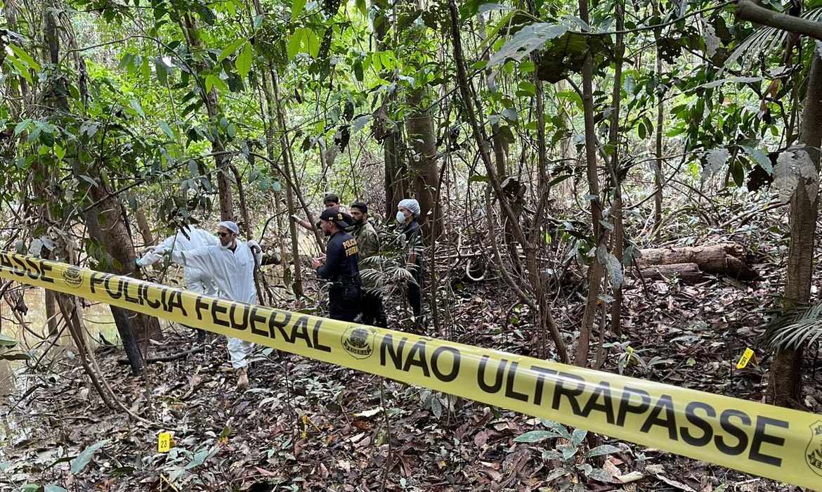 Violência cresce na Amazônia com tráfico e caça a aviões ilegais