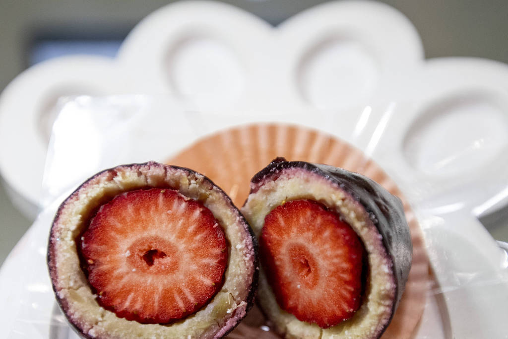 ‘Morango do AUmor’ ganha versão pet com receita saudável