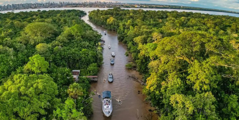 Consulta pública busca fortalecer jornalismo ambiental na Amazônia