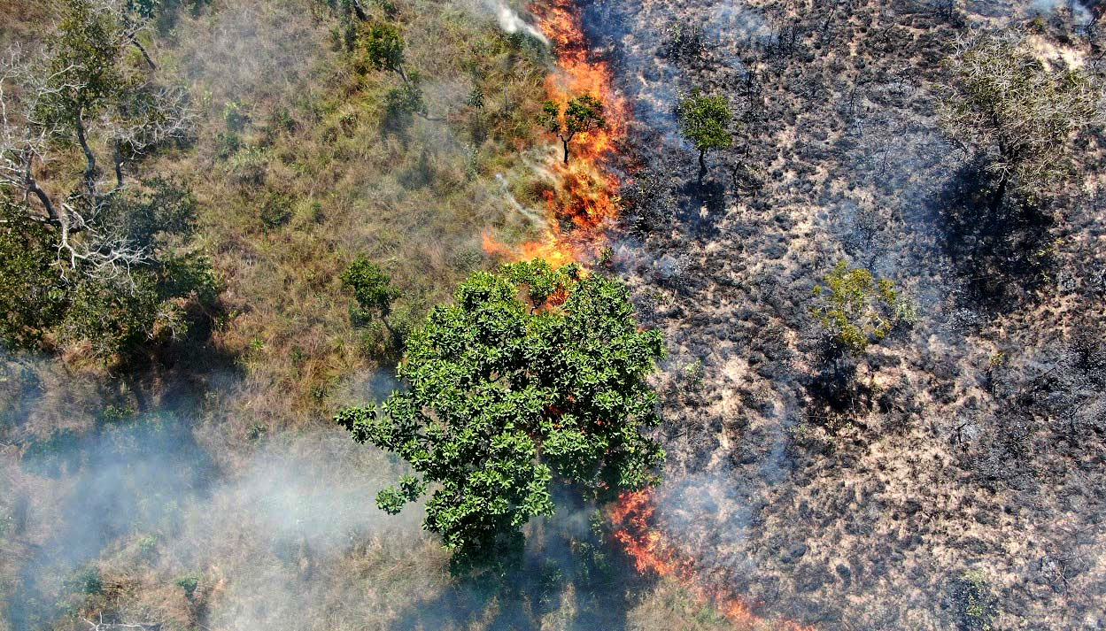 Tocantins reduz em 28,7% área queimada após plano estratégico