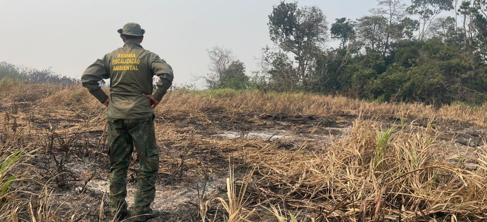 Desmatamento na Amazônia tem segundo menor taxa da história, aponta Inpe