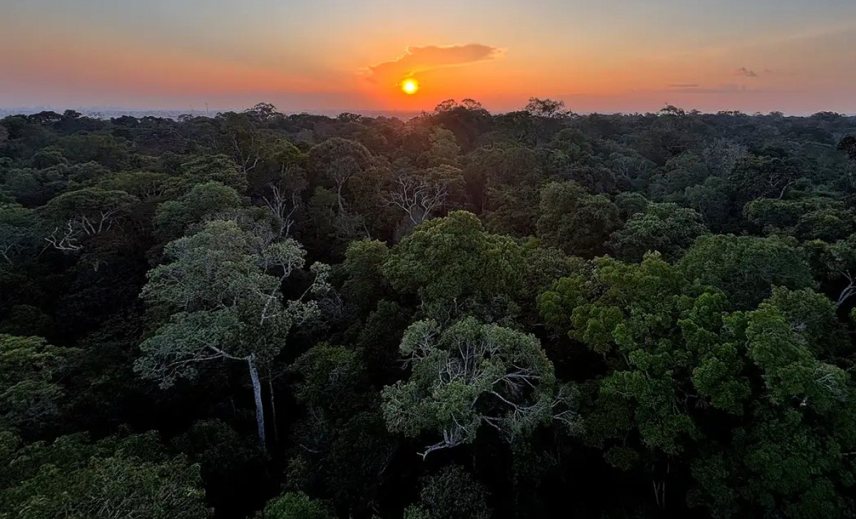 Países da OTCA apoiam fundo florestal com recursos repassados para indígenas