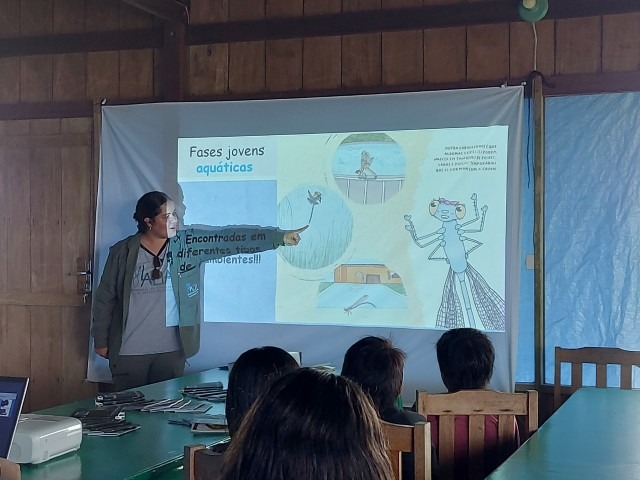 Pesquisa identifica mais de 11,3 mil insetos aquáticos em reserva no AM