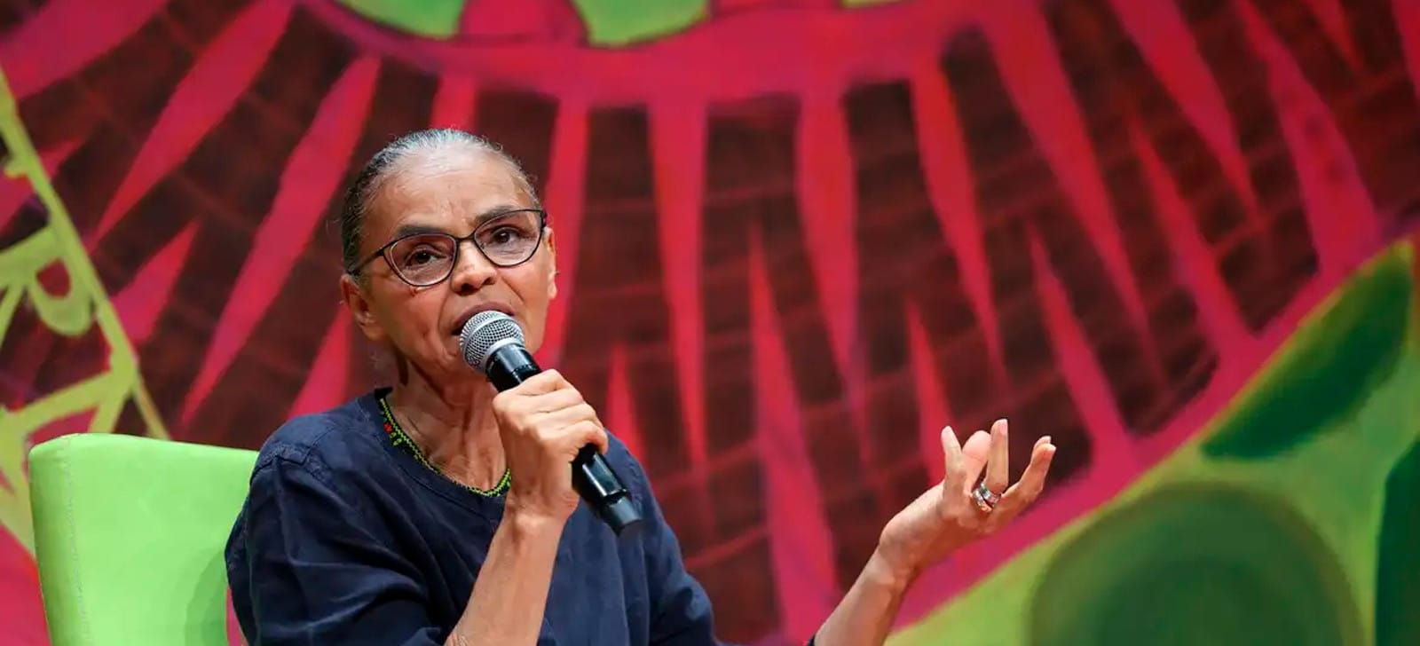 Marina critica PL 2.159/21: ‘Licenciamento é vértebra da proteção ambiental’