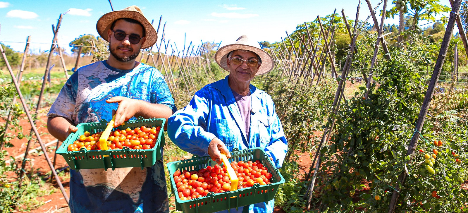 AgroAmigo oferece crédito acessível à agricultura familiar no Norte