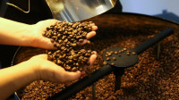 Mais de 180 empresas do Brasil são habilitadas a exportar café para China