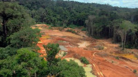 MPF pede que Ibama mude regras para conter mercúrio em garimpos na Amazônia