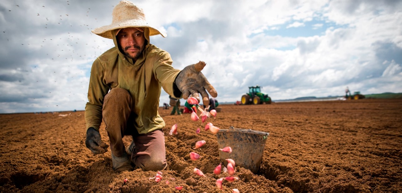 Mesmo com tarifaço, agro e mercado de trabalho devem sustentar PIB, diz CNI