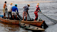 TCU aponta excesso de pescadores e baixa produção de peixes em cidades do Pará