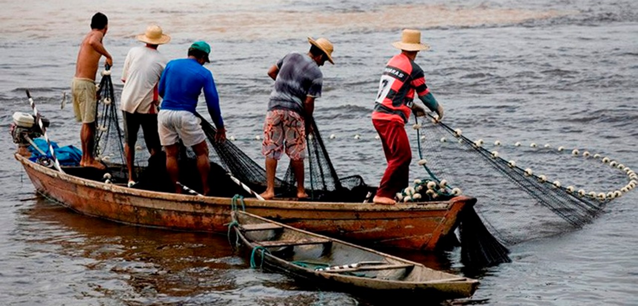 TCU aponta excesso de pescadores e baixa produção de peixes em cidades do Pará