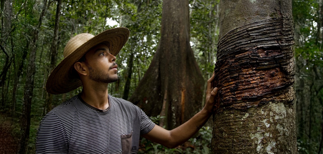 Maioridade do ICMBio traz avanços, mas jovens ainda enfrentam desafios em reservas