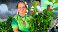Produtores de Manacapuru recebem mudas de café do Governo do AM
