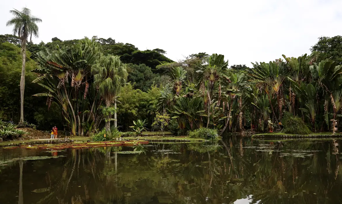Concurso de Fotografia marca programação do Dia Mundial da Limpeza