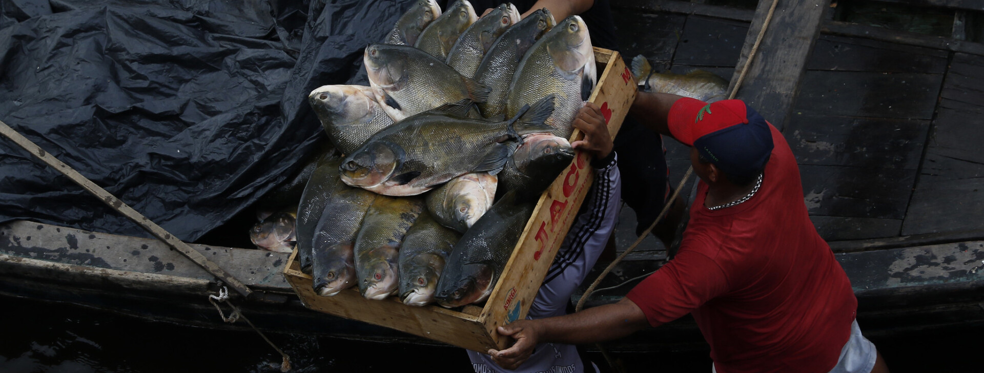 Relator tira de MP aval das prefeituras para validar seguro-defeso de pescadores
