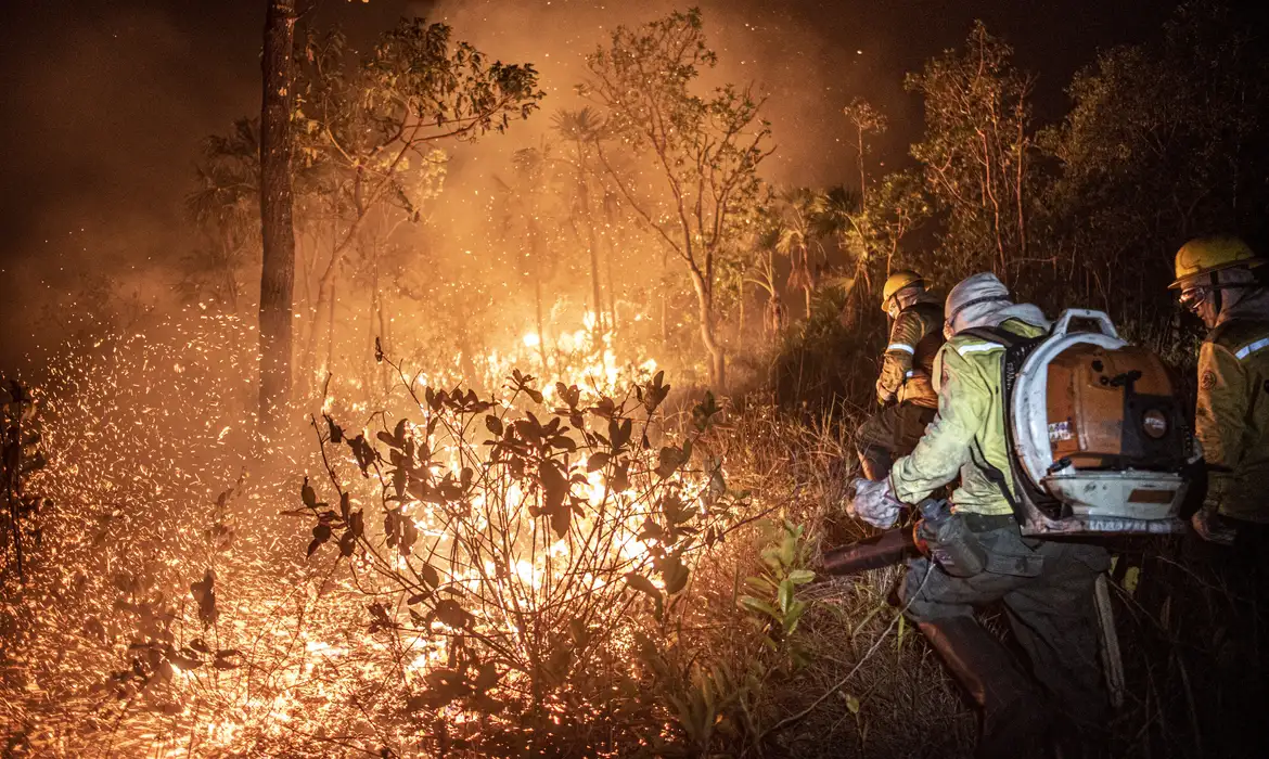Produtores terão de atuar no combate direto a incêndios em propriedades rurais