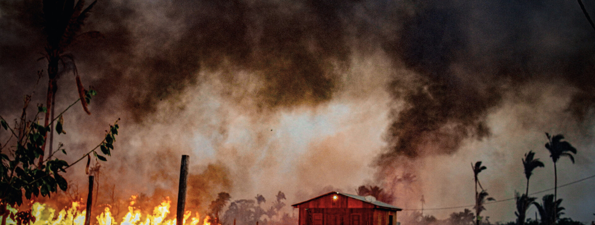 Why did the Amazon record a historic drop in wildfires in 2025?