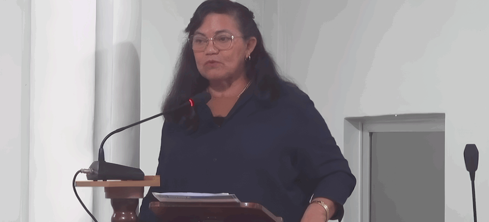 ‘Sou a favor da violência contra a mulher’, declara vereadora do Amazonas em plenário