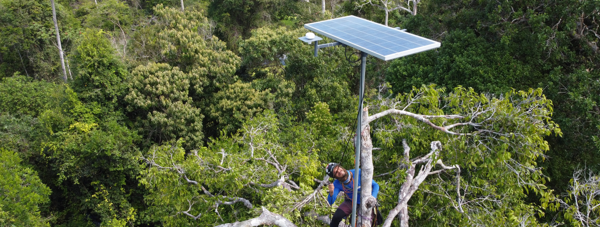 Evento Amazon.I.A apresenta tecnologias para monitorar biodiversidade