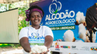 Projeto agroecológico colhe primeiros resultados em comunidade quilombola no Maranhão