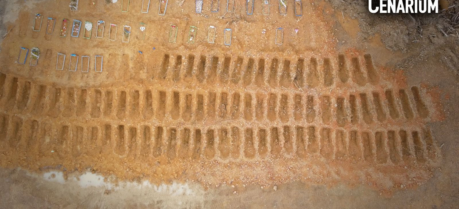 Abandono de cemitério que teve valas coletivas na Covid-19 em Manaus vira alvo do MP-AM