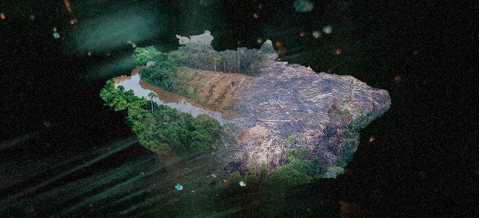 Áreas privadas lideram desmatamento na Amazônia em 2024