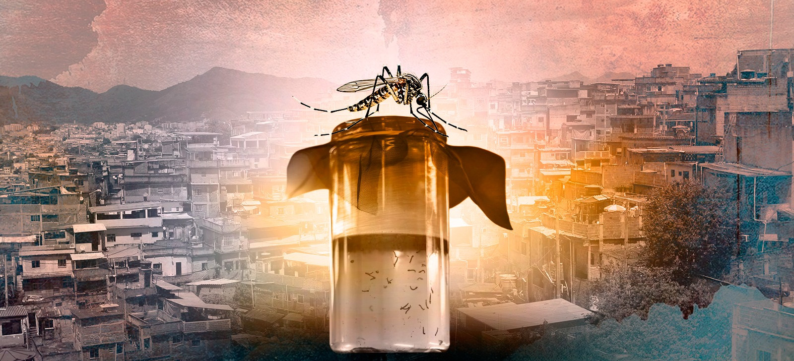 Estudo mostra como doenças como dengue e chikungunya estão associadas à desigualdade