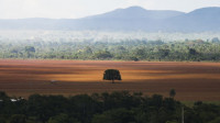 Comunidades tradicionais do Cerrado buscam mais espaço na COP30