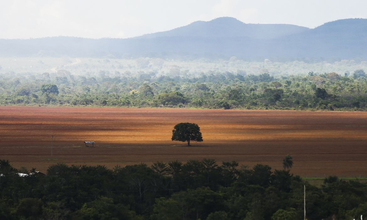 Comunidades tradicionais do Cerrado buscam mais espaço na COP30