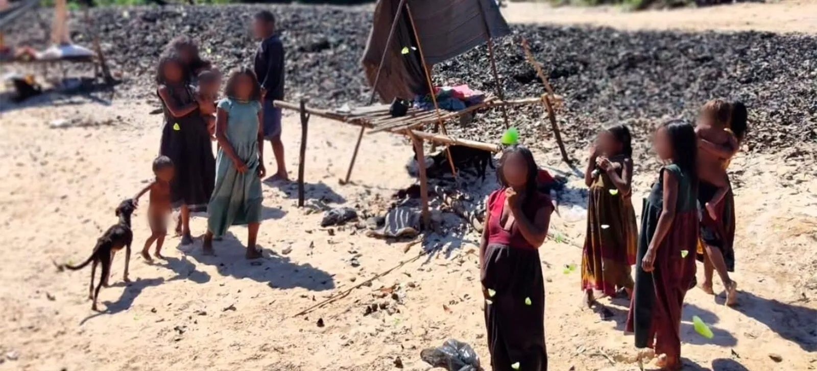 Pirahã Indigenous people face violence, hunger, and vulnerability in the Amazon