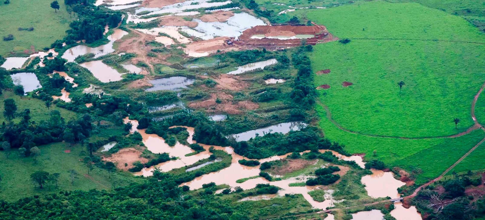 Supremo extingue ação de indígenas aberta na pandemia e aguarda desintrusão de TIs
