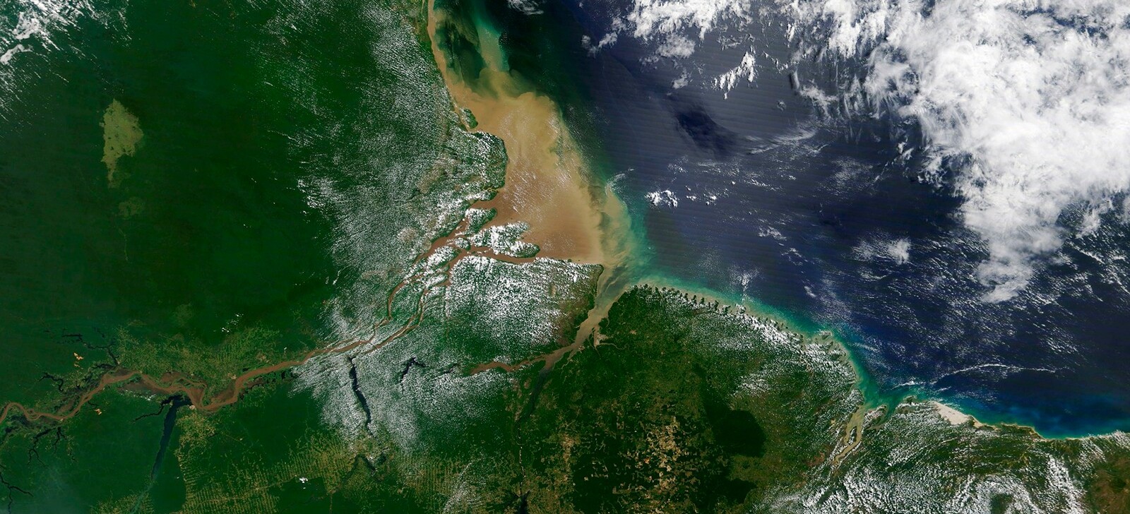 ONGs acionam Justiça para anular licença de petróleo na Foz do Rio Amazonas